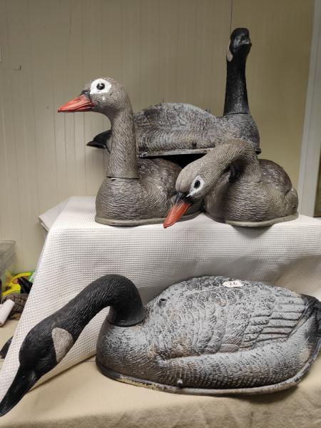 Bird Decoys