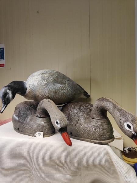 Bird Decoys