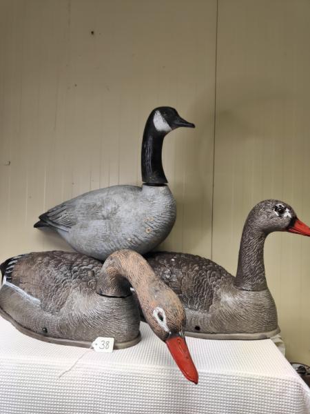 Bird Decoys