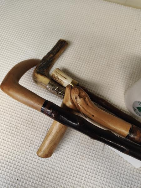 Walking Sticks