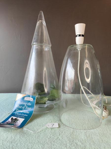 Glass Cloche and Lamp