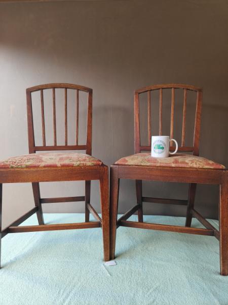Dining Chairs