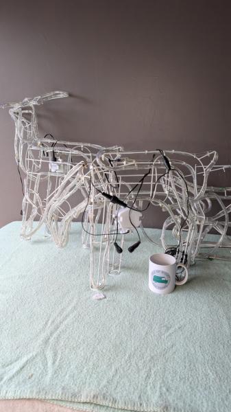 Reindeer Display